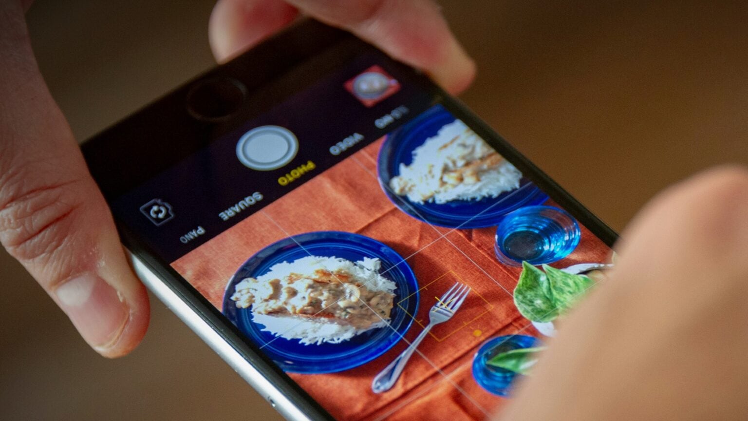 A close-up of a person using an iPhone to take a photograph of a plate of food (rice and pork chop).